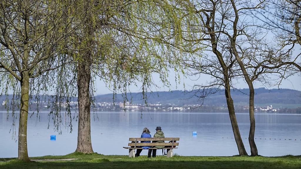 Der Seeuferabschnitt zwischen dem Seeclub Sempach und dem Seewasserwerk soll eine Aufwertung erfahren. (Archivbild)