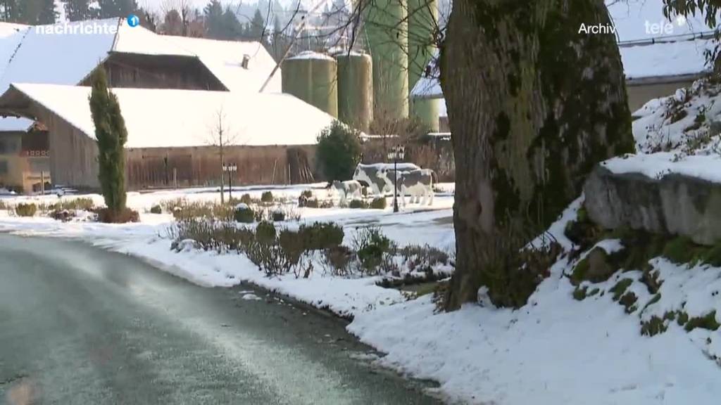 Urteil gegen Bauern wegen Tierquälerei