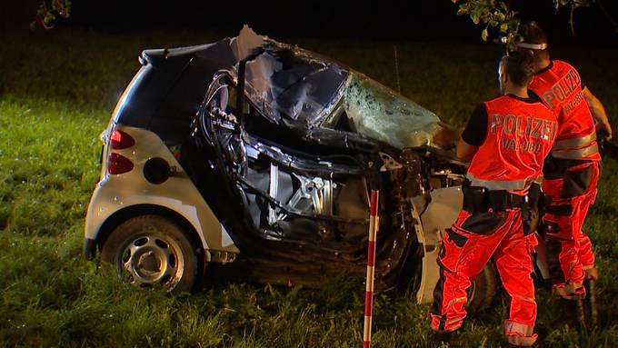 Mann kracht mit Smart in Baum – Strasse stundenlang gesperrt