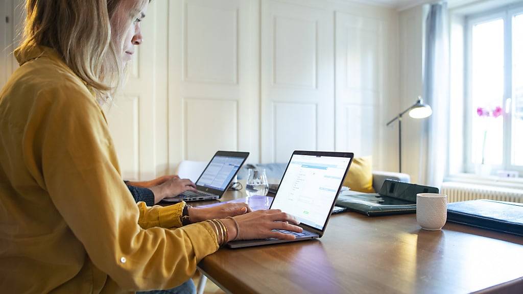 Vorlage für mehr Flexibilität bei Telearbeit geht in Vernehmlassung