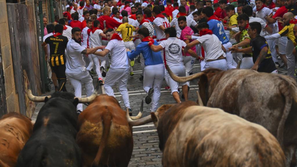 Spanische Stierhatz startet - Tradition oder Tier-Folter?