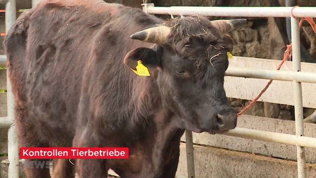 Swiss-News