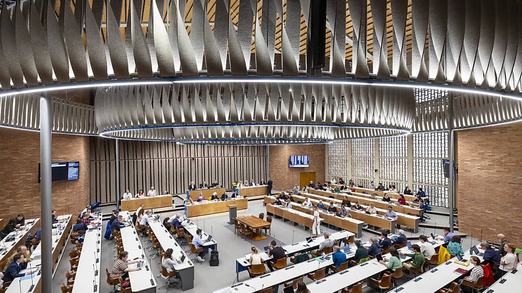 Das Stadtzürcher Parlament will weniger Parkplätze bei der Siedlung «Harsplen» in Witikon. Die Stadt kaufte das Projekt einer privaten Bauherrin ab. (Archivbild)