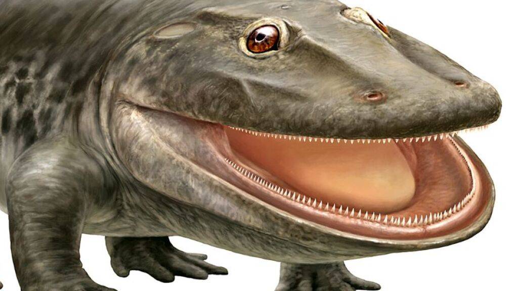 Die Spezies namens Stenokranio boldi lebte laut den Forschenden vor knapp 300 Millionen Jahren, noch vor den Dinosauriern.