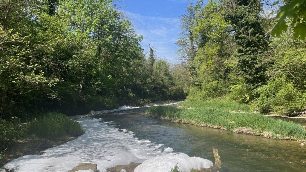Die Ergolz war auf mehreren hundert Metern von einem weissen Schaum bedeckt.