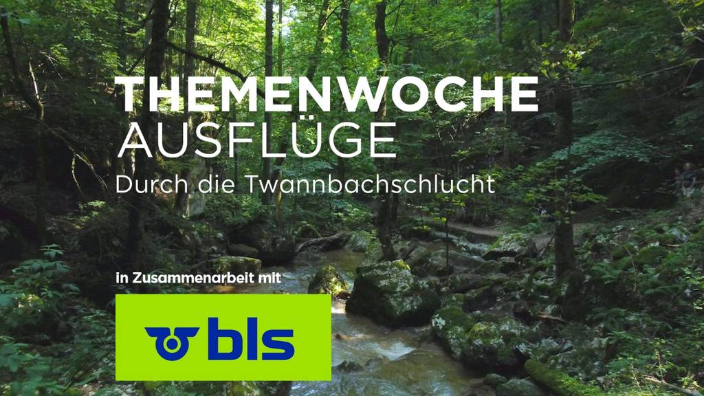 Durch die Twannbachschlucht an den Bielersee