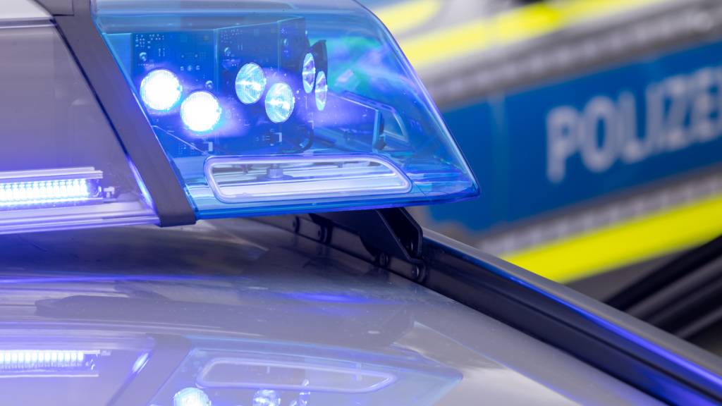 ARCHIV - Ein Blaulicht auf dem Dach eines Polizeifahrzeugs. Foto: Daniel Karmann/dpa/Archivbild