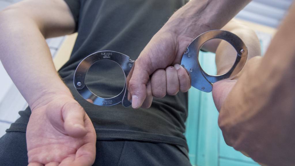 Die Polizei nahm drei mutmassliche Autodiebe fest. (Symbolbild)