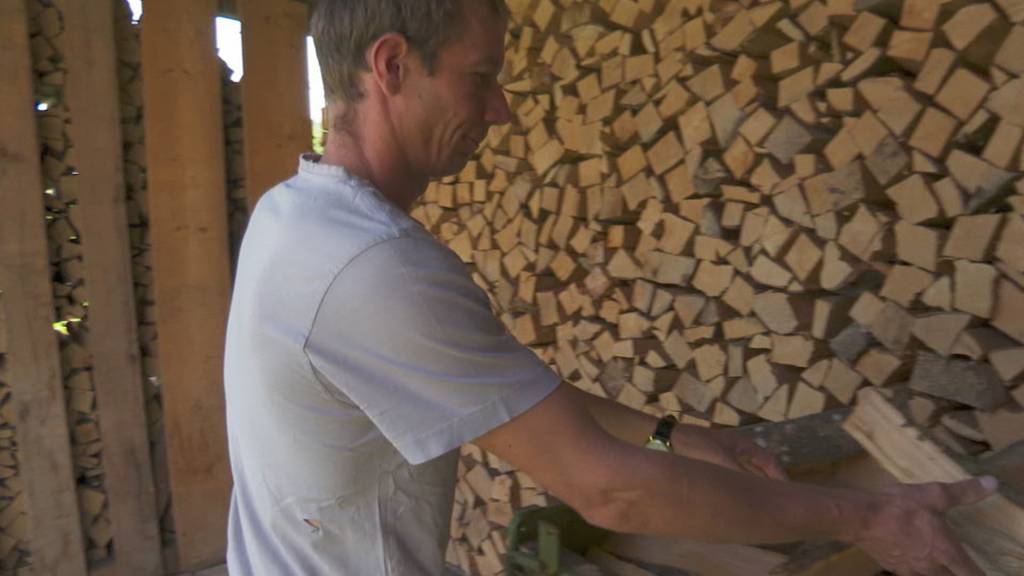 Ostschweizer wollen viel Holz vor der Hütte