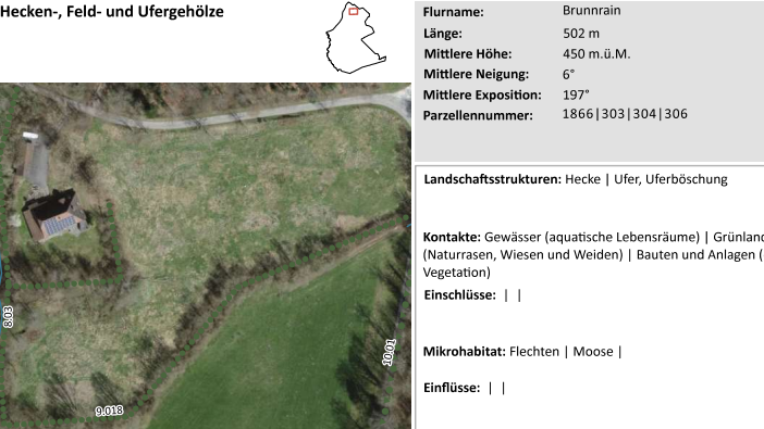 Hecke in Murgenthal