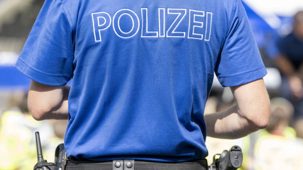 Die Luzerner Polizei rückte am Donnerstagabend nach einem Autounfall in Emmen aus. (Symbolbild)