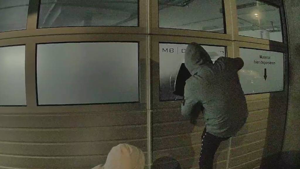 Tesla filmt Einbrecher in flagranti