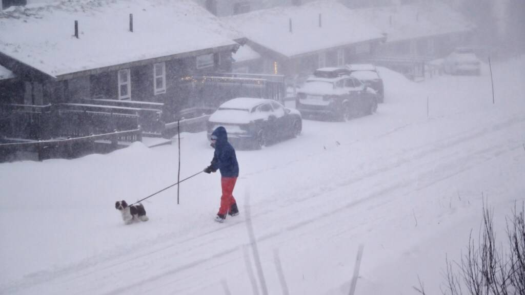Eine Person geht mit ihrem Hund spazieren, während der Sturm Johannes über Nordschweden hinwegzieht. Foto: Pontus Lundahl/TT News Agency/AP/dpa