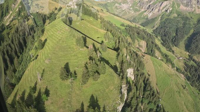 Wildheuen mit Helikopter-Unterstützung