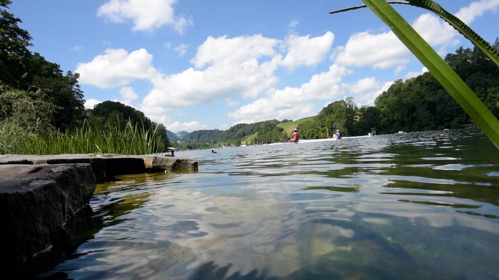 Weltelite am Rotsee: «Es ist der beste Ort für Ruder-Rennen»