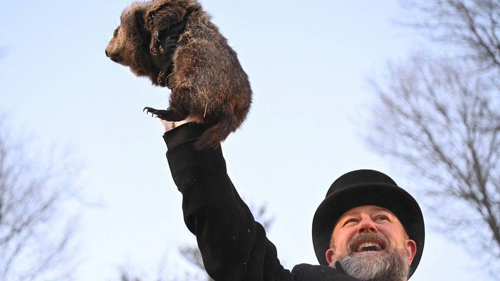 Spektakel am «Groundhog Day»: Murmeltier Phil sagt längeren Winter voraus