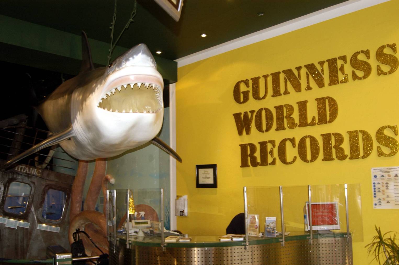 Guiness World Rekord