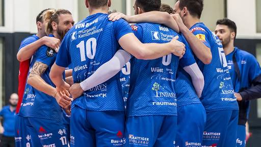 Amriswil in den Achtelfinals des CEV-Cups