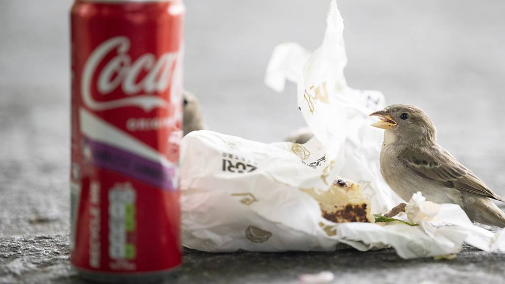 Littering nimmt in der Schweiz laut einer Umfrage seit Jahren ab. (Archivbild)