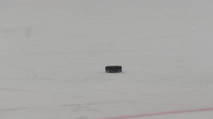 Nach 13 Jahren: Rapperswil-Jona Lakers in den Playoffs