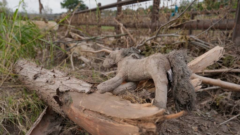 Ein Spielzeugpferd liegt nach einer Überschwemmung in Kerrville zwischen heruntergefallenen Ästen und Trümmern. Foto: Ashley Landis/AP/dpa
