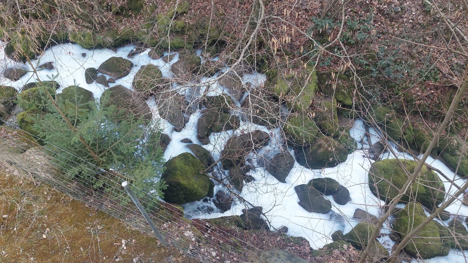 Mehrere Hundert Liter Milch haben den Sarbach in der Gemeinde Neuheim verschmutzt