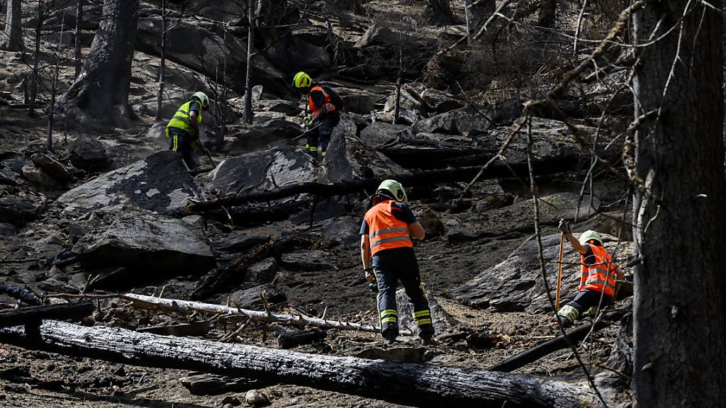 Der Waldbrand bei Bitsch VS hat sich stabilisiert, die Feuerwehr stellt ihre Arbeiten nach und nach ein. (Bild vom 28. Juli)