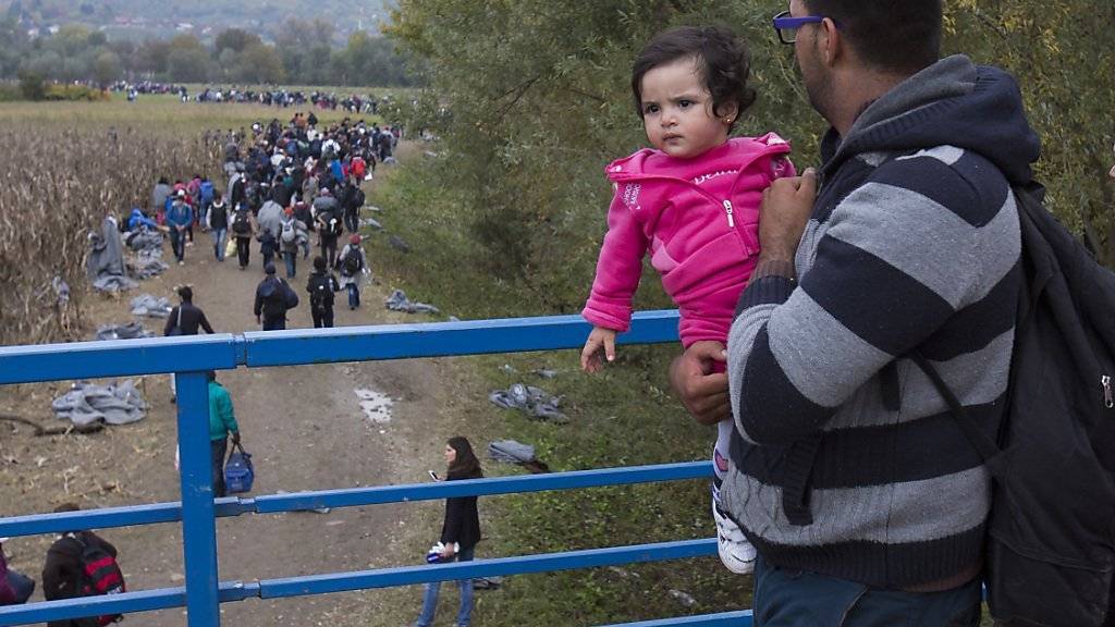 Flüchtlinge an der kroatisch-slowenischen Grenze - eine der Hauptursachen für den Flüchtlingsandrang ist der Bürgerkrieg in Syrien.