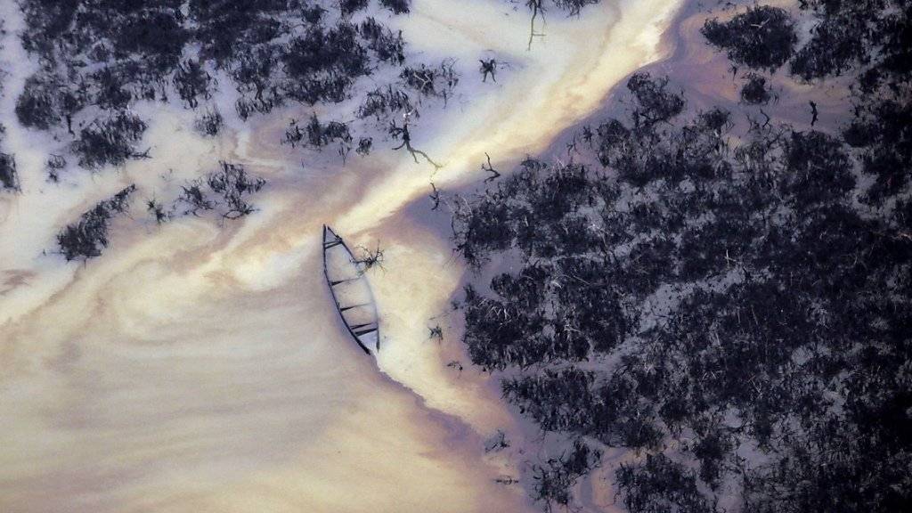 Öl auf der Wasseroberfläche im Niger-Delta - das Bild wurde 2011 aufgenommen.