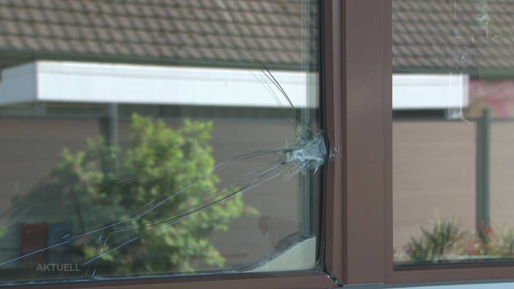Einbruchsversuch Nachbarn machten zwei einen Strich durch die Rechnung TeleM1