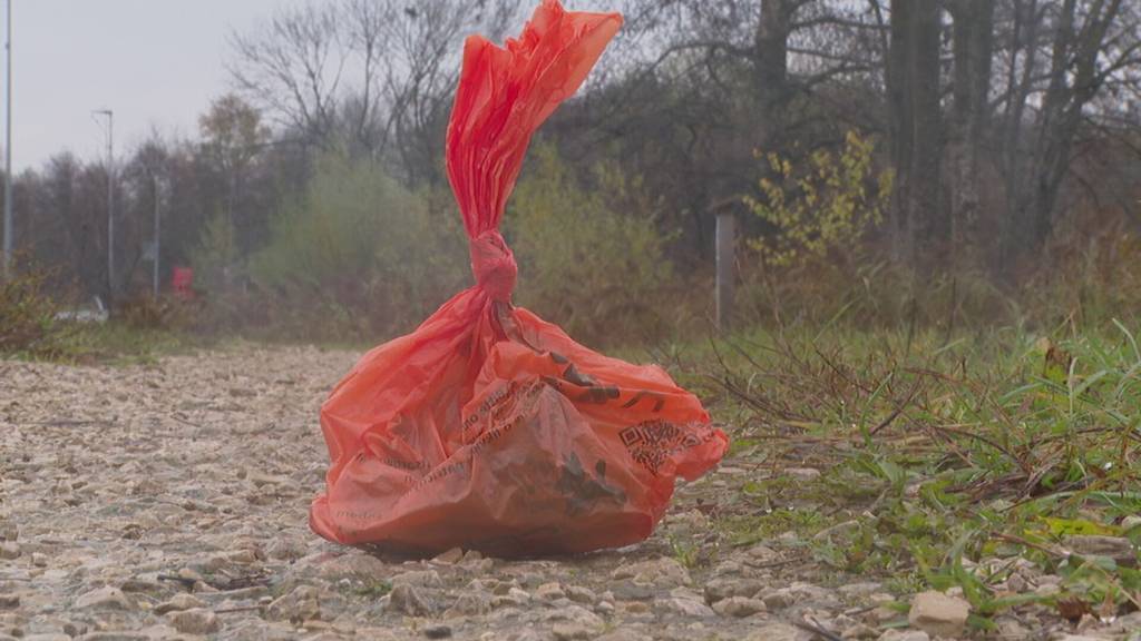 Hundekotproblem in Lengnau