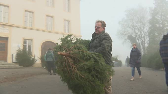 Weshalb in Wittnau jeder Haushalt gratis einen Christbaum erhält