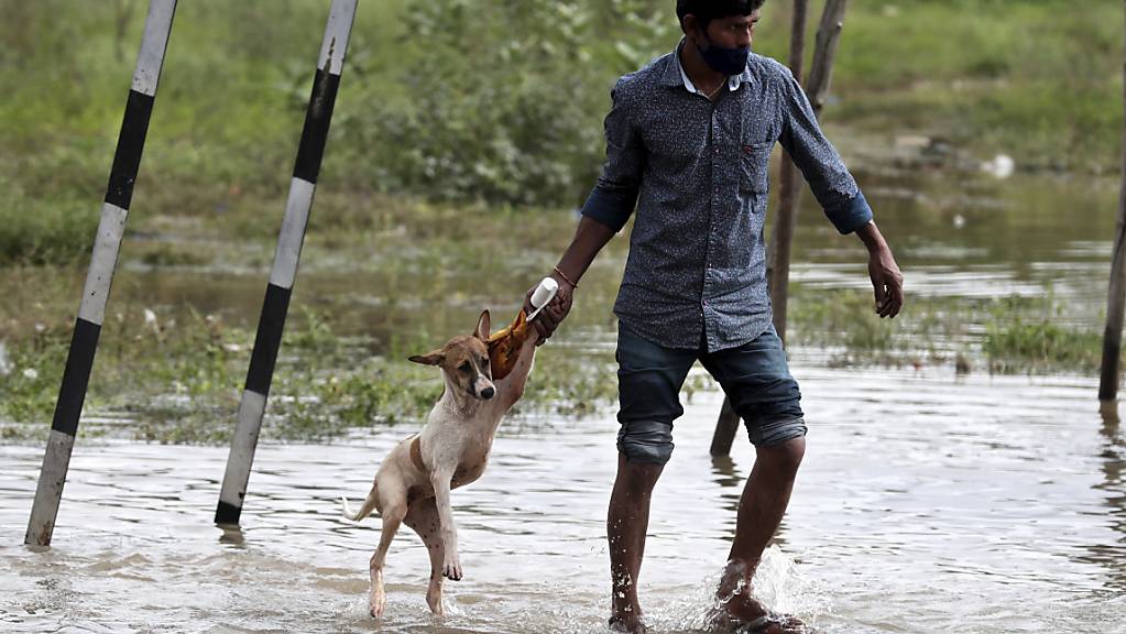 Ein Mann hilft einem Hund über eine überschwemmte Straße. Die Wettervorhersage des indischen Wetterdiensts meldet für die kommenden Tage für die südlichen Bundesstaaten ausgedehnte Regenfälle an. Foto: Aijaz Rahi/AP/dpa