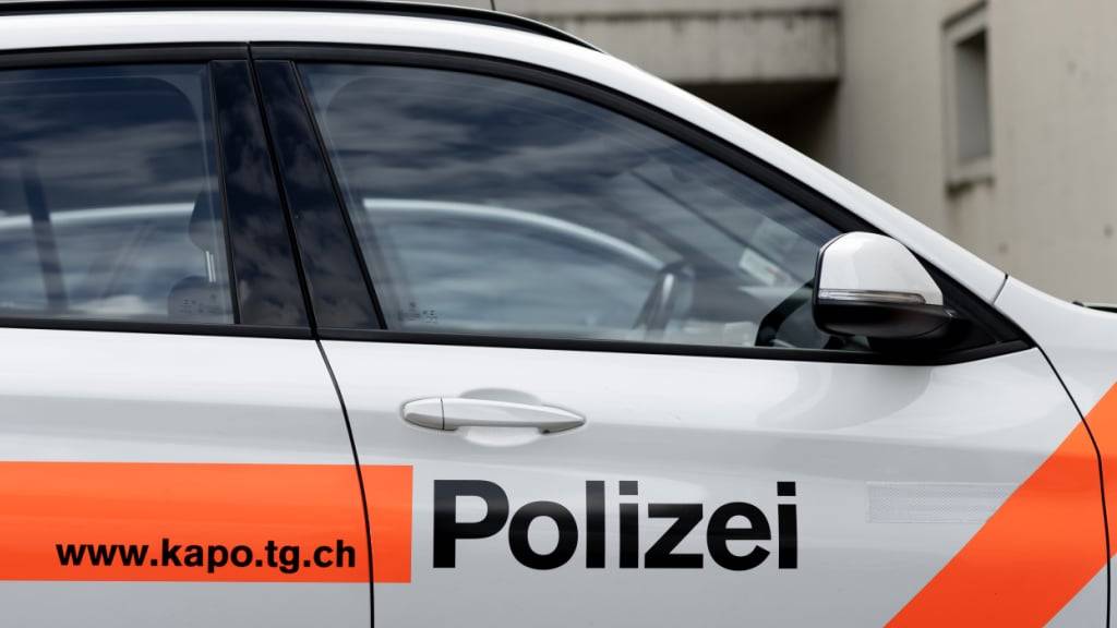 Die Thurgauer Polizei war neben dem Zoll und dem Amt für Wirtschaft an der Kontrolle einer Grossbaustelle in Berg TG beteiligt. (Archivbild)