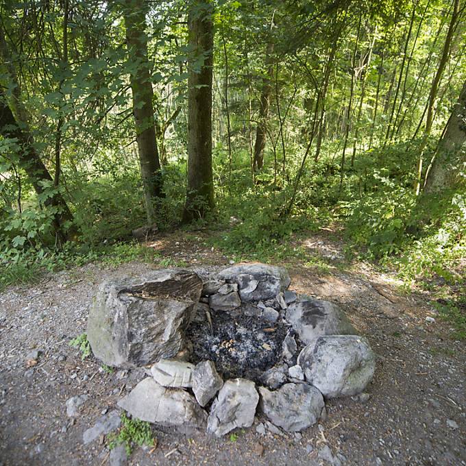 Kanton Thurgau warnt vor erheblicher Waldbrandgefahr