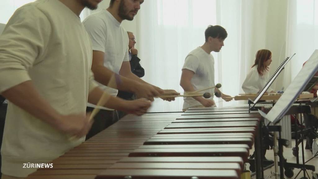 15 Betten gefährden Blochers Musikinsel