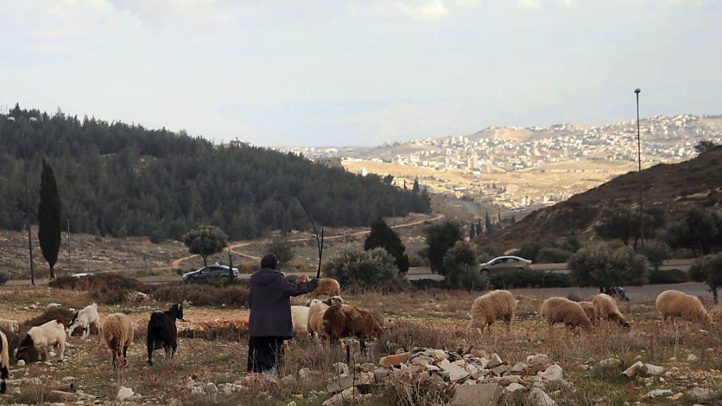 Israel treibt Pläne zum Bau von mehr als 1200 weiteren Wohnungen im annektierten Ost-Jerusalem voran. Dieser Hügel auf dem der palästinensische Hirte mit seiner Herde steht, ist Teil des Gebiets. Foto: Mahmoud Illean/AP/dpa