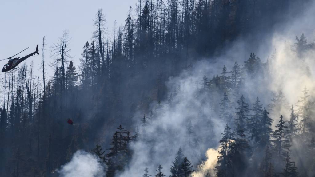 Auch die Schweiz ist nicht vor Waldbränden sicher