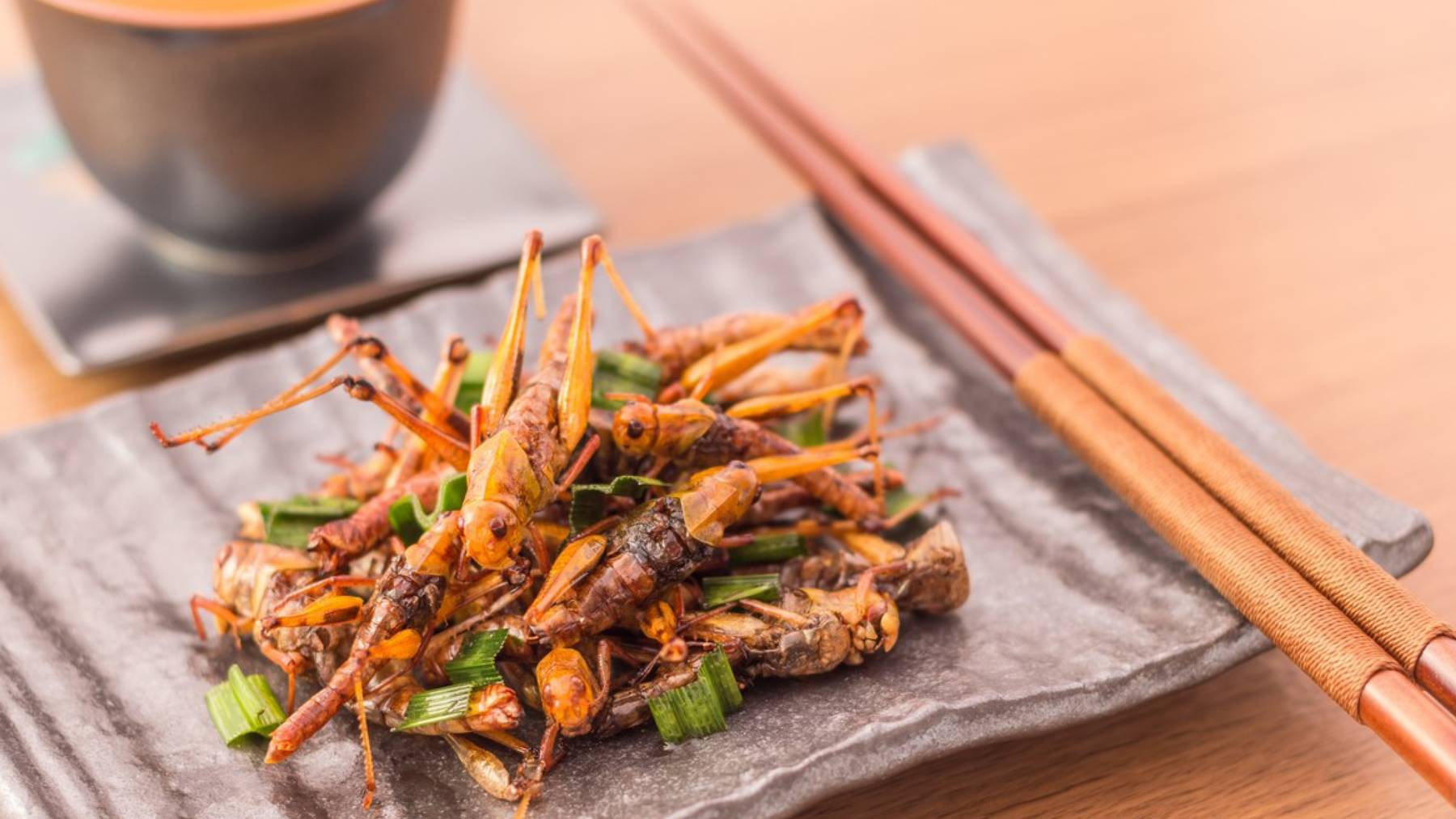 Best Practice_Ochsebei kocht Insekten