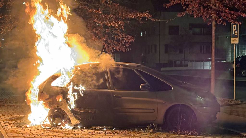 Auto brennt in Sempach LU aus