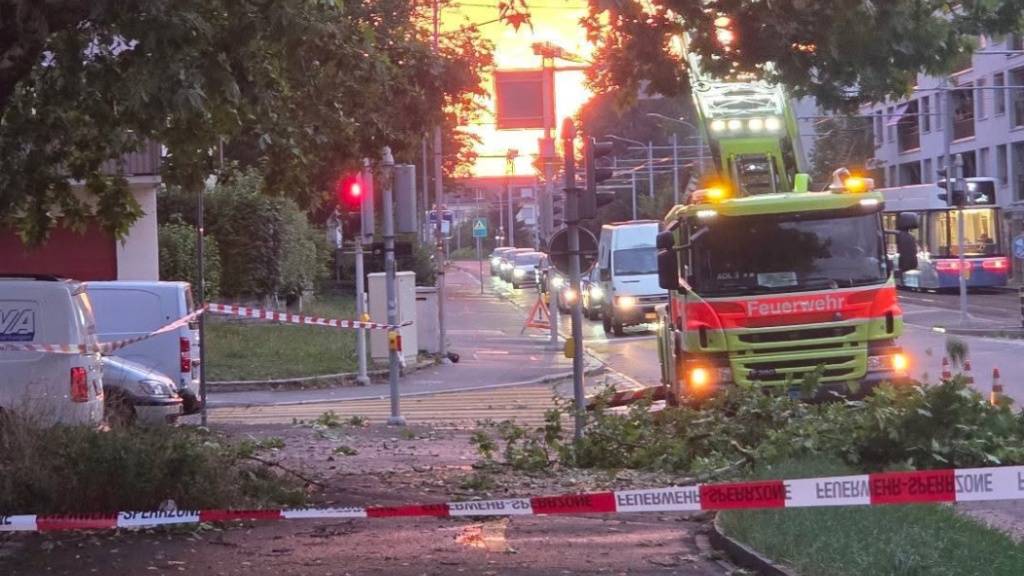 Herabstürzende Äste, vollgelaufene Keller: Bei Schutz&Rettung gingen am Donnerstag 550 Notrufe ein. Im Bild kontrollieren Einsatzkräfte, ob noch mehr Äste auf ein Trottoir und die Strasse fallen könnten.