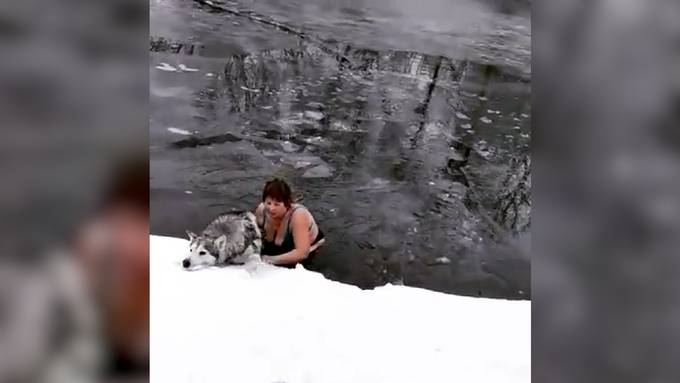 Sprung ins eisige Wasser: 65-Jährige rettet Husky vor dem Ertrinken