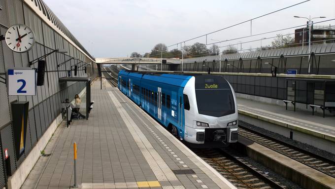 Stadler gewinnt ersten Servicevertrag in den USA