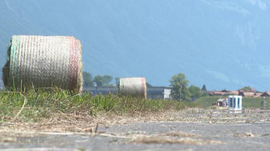 Sommerzeit ist Festivalzeit trotz sengender Hitze