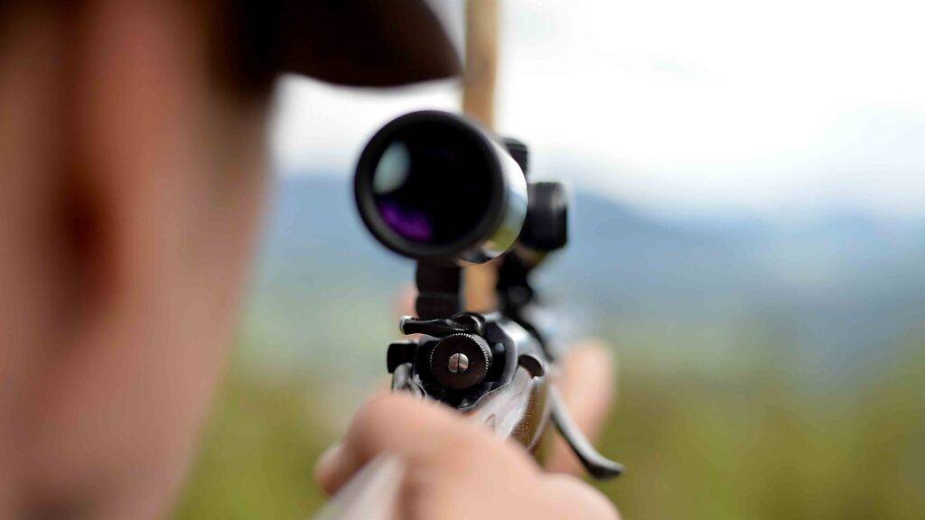 Die zuständige Ständeratskommission lehnt die Einführung eines zentralen Waffenregisters ab. (Themenbild)