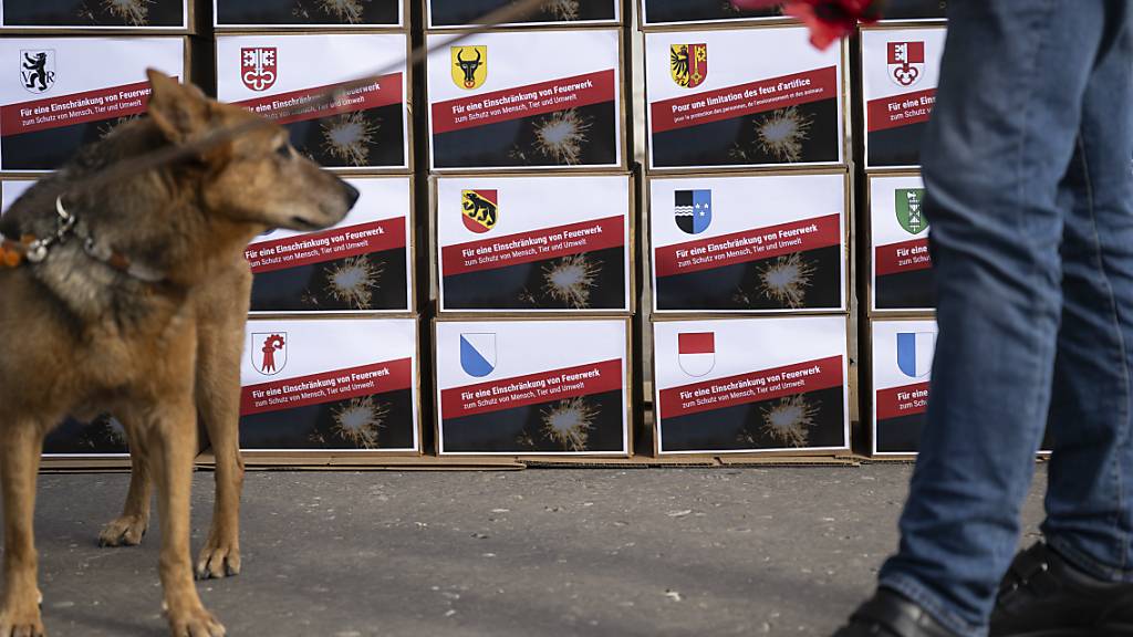 Mitglieder des Komitees mit Hunden haben in Bern die Unterschriften für ihre Feuerwerksinitiative eingereicht. Privaten sollen zum Schutz von Mensch und Tier laute Feuerwerke verboten werden.