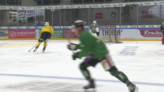 Bester Saisonstart seit Jahrzehnten: HC Thurgau reitet auf Erfolgswelle