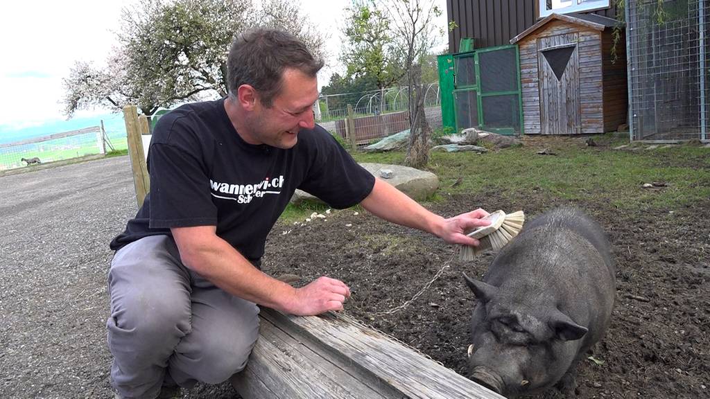 Der Bauer mit dem Kleintierzoo