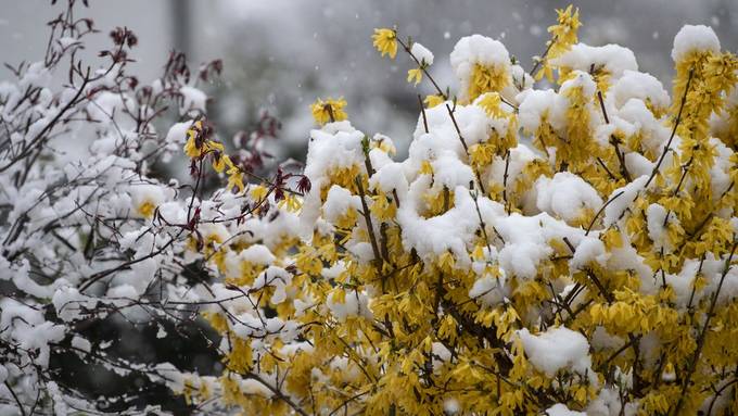 Kommt am Sonntag der Schnee zurück?