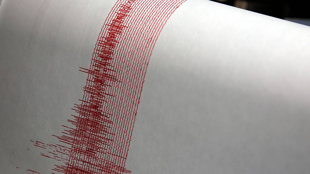 ARCHIV - Ein Seismograph verzeichnet Erdbebenwerte (Symbolbild). Foto: Oliver Berg/dpa